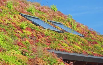Sutton Scarsdale living roof systems